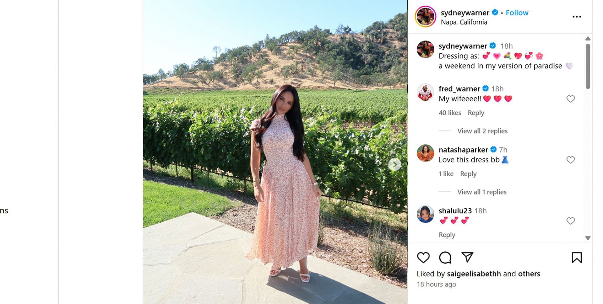 Fred Warner drops 2-word message as wife Sydney shows off floral dress from Napa outing/@sydneywarner